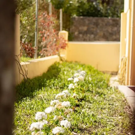 Olive Grove Luxury Maisonette In Corfu Town Ferienhaus *